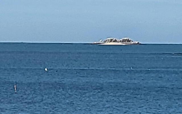 Daecheon Blue Whale Hill