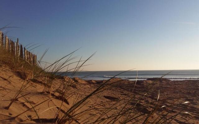Bungalow tranquille entre océan, forêt et marais