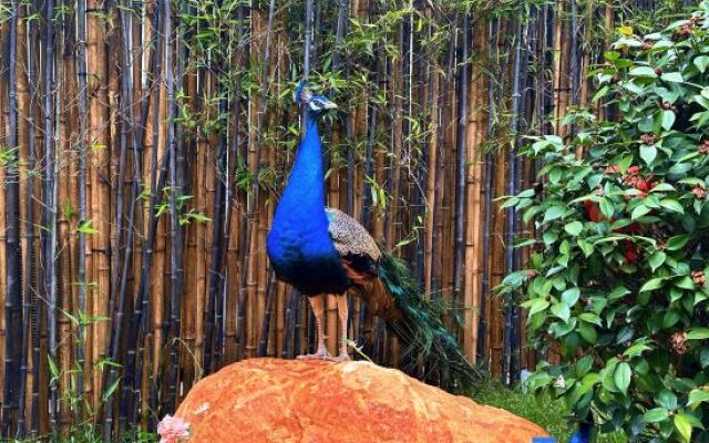 Jingdezhen Sanbao Hefu Homestay