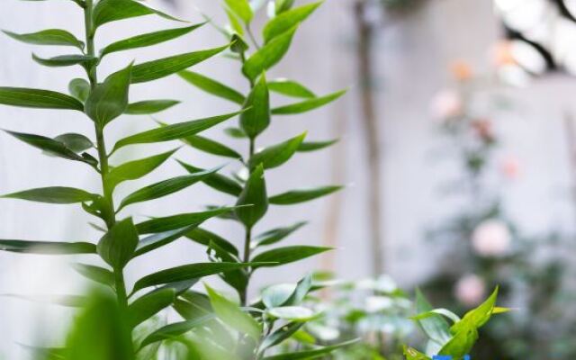 Yongyuanju Boutique Hostel