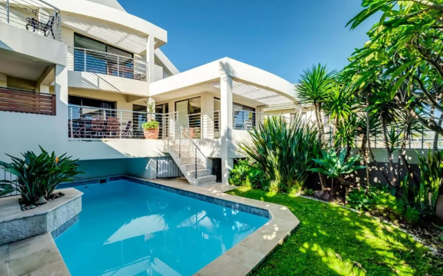 Bakoven Blue in Cape Town