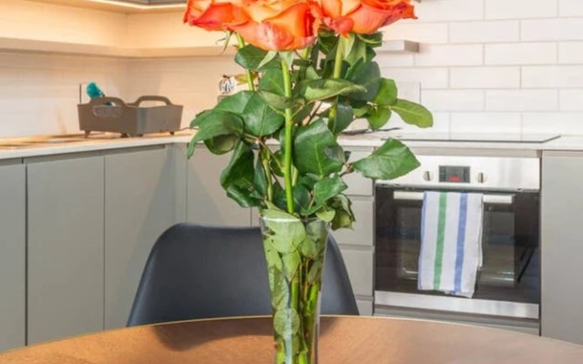 Stylish 2 Bedroom Luxury Apartment In Gardens