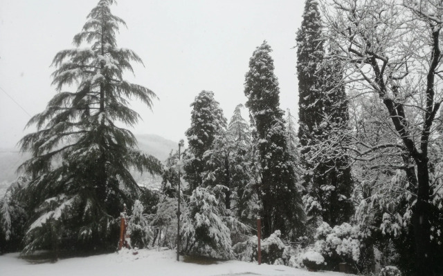 Corte San Ruffillo-Azienda Agrituristica