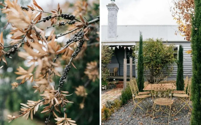 Piccadilly House Daylesford