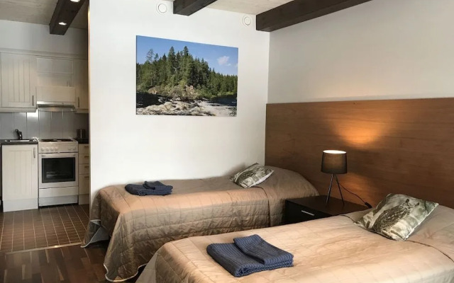 Ruka Safaris - Papin Talo