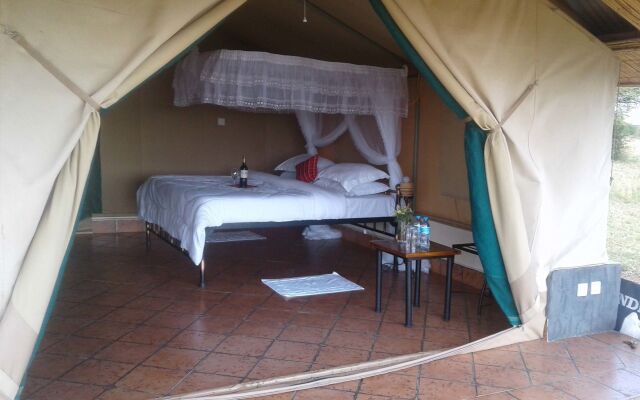 Zebra Kemang'ore Bush Tented Lodge