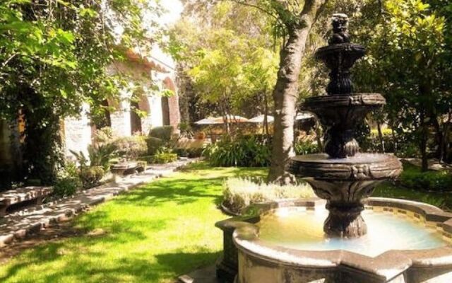 Hacienda Atongo Hotel Boutique - Viñedo