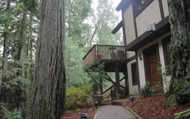 Avalon Bed and Breakfast