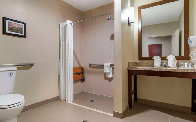 Comfort Suites Pell City I-20 exit 158