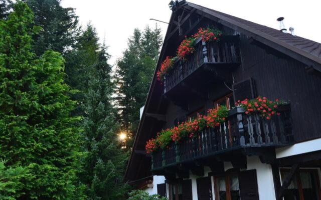 Jałowcówka Centrum Aktywności Psychoruchowej