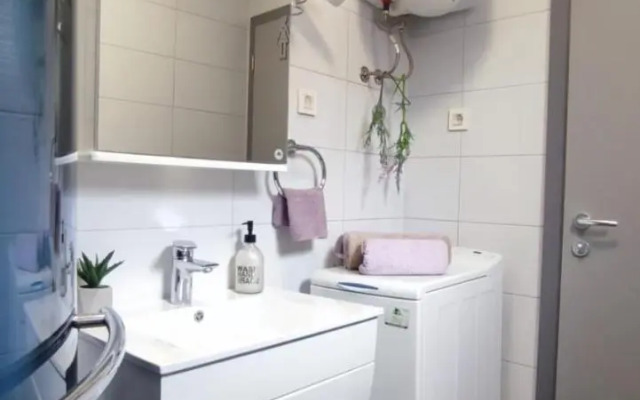 Apartment Ivana