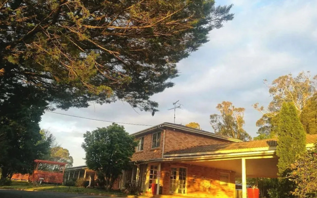 Poplars at Mittagong