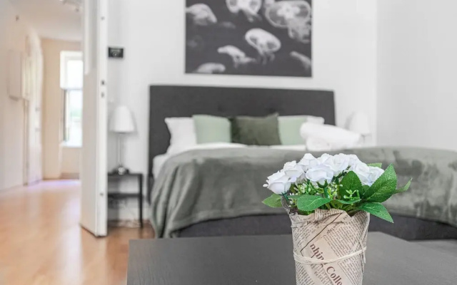 Cute 2BR Apt Near AKH Hospital Central