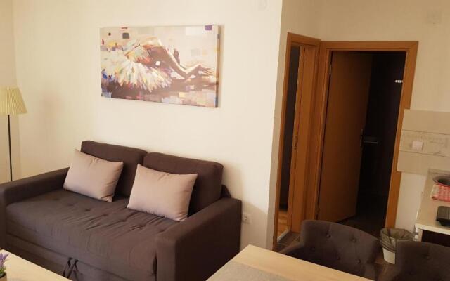 Apartment C2 Dvori