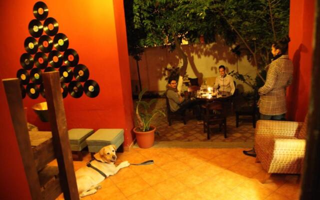Trip'n'Hostel