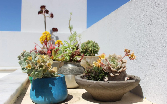 Triplex con terraza única a 50 mts del mar