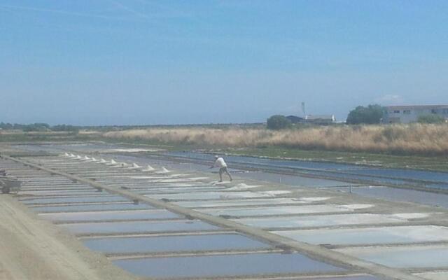 La Passerose jardin clos 300mplage la Couarde sur mer