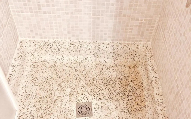 Apartament Carme