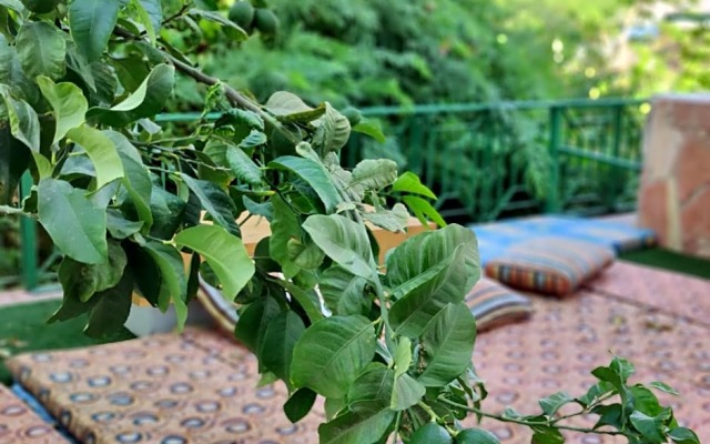 Ahla Dive Time Villa