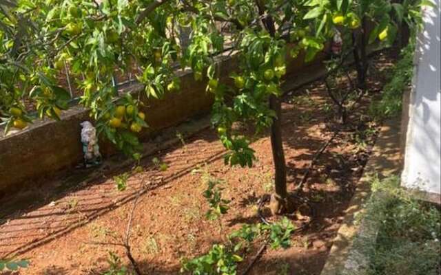 Holiday Home Roko&Iva