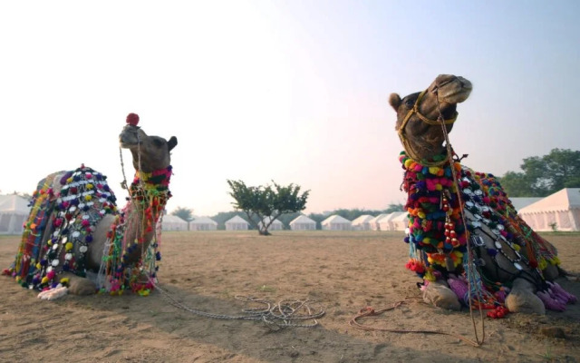 Karni Desert Camp