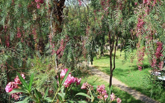 Les Jardins de Skoura