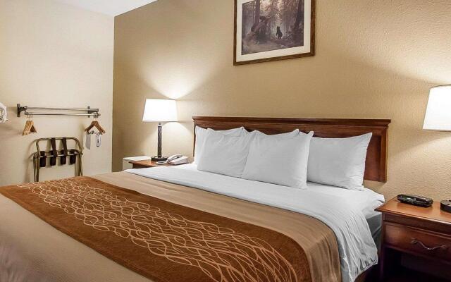 Comfort Inn & Suites Branson Meadows