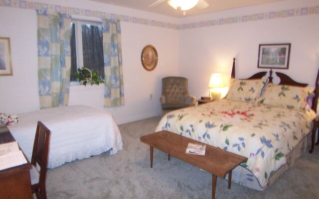 Tree Top Bed & Breakfast