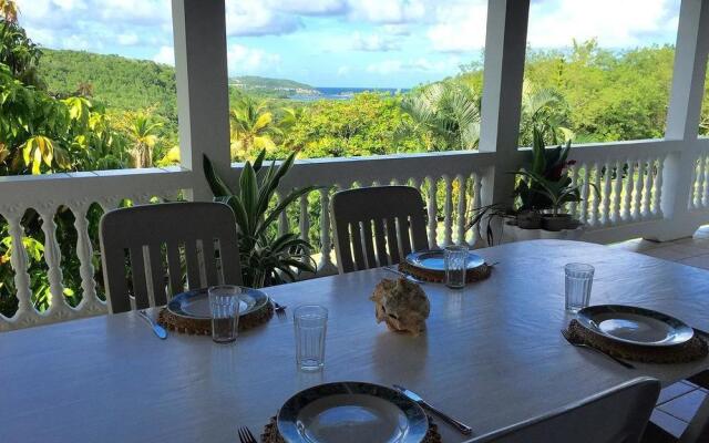 A Paradise View
