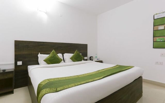 Treebo Hummingbird Nest