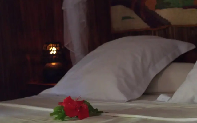 Analatsara Eco Lodge