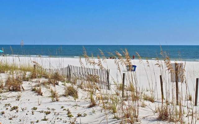 Colonnades by Youngs Suncoast