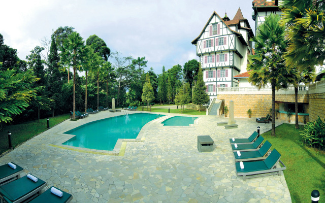Colmar Tropicale