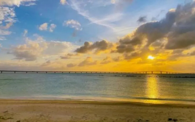 Hollywood Suites & Lofts