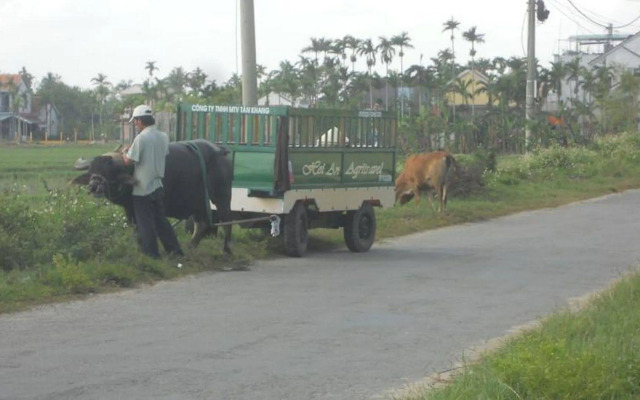 Lila Homestay Hoi An