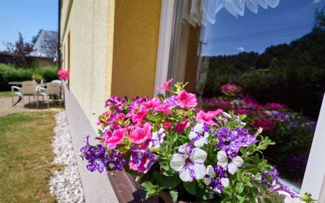 Apartment Horská Horní Maršov