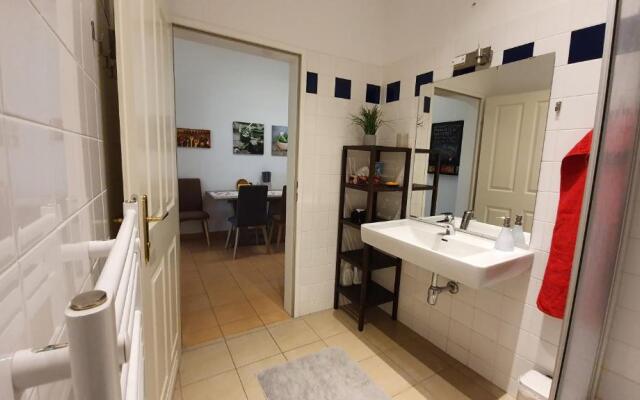 Gorgeous Viennese Apartment 10 min to City Center