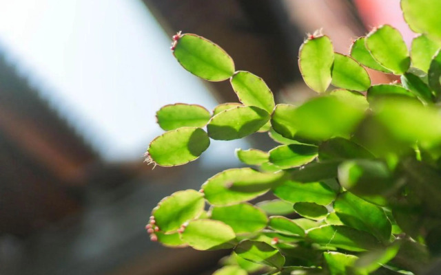 Wuyou Xiboyin Inn (Tengchong Heshun)