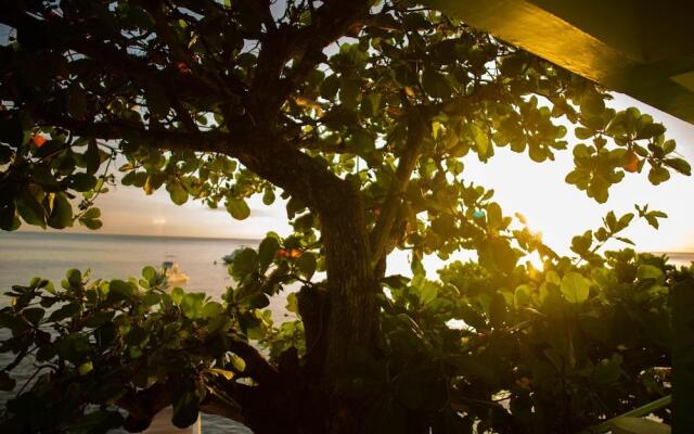 Ocean's Edge Lodge Restaurant & Bar C