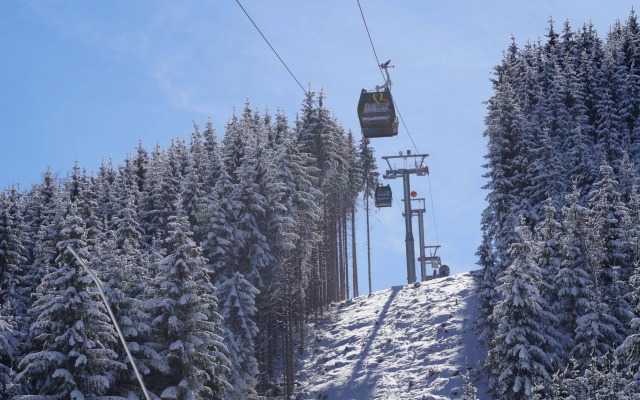 Hotel Wenger Alpenhof