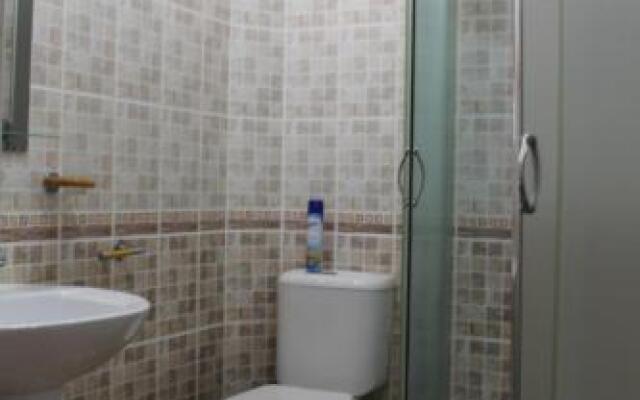 Guest House Metelitsa