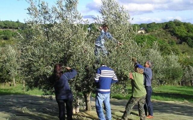 Verdidea - PODERE MONTI