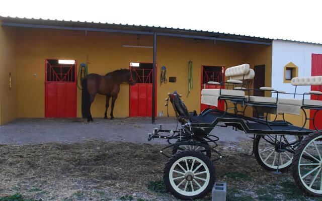 Humedales de Daimiel