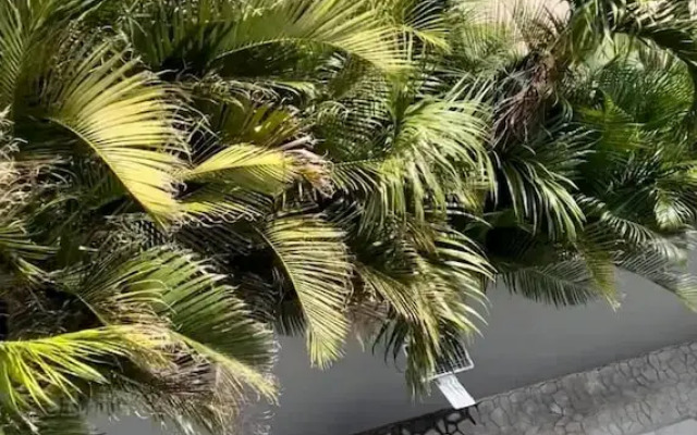 Brand new 2 Bedroom Apartment in Pereybere