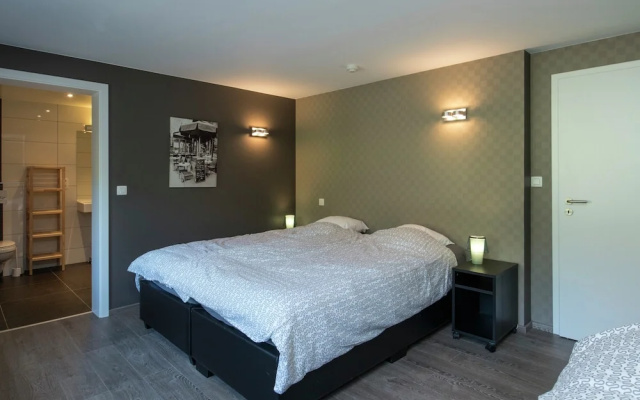 Modern Mansion in Vielsalm With Sauna and Private Pool