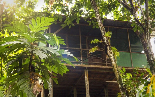 Naguala Jungle Lodge