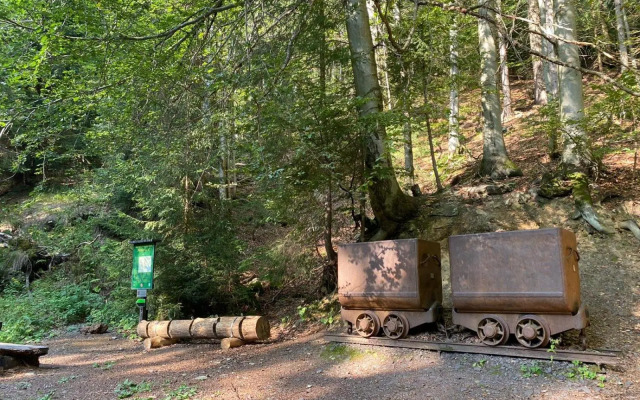 Vila 66 - Čistá v Krkonoších