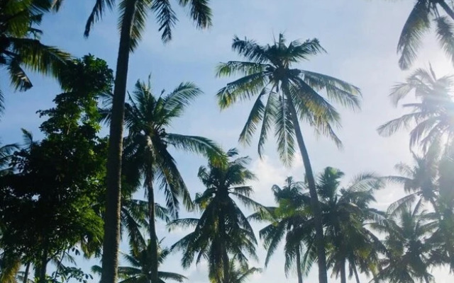 The Vagary Vibes