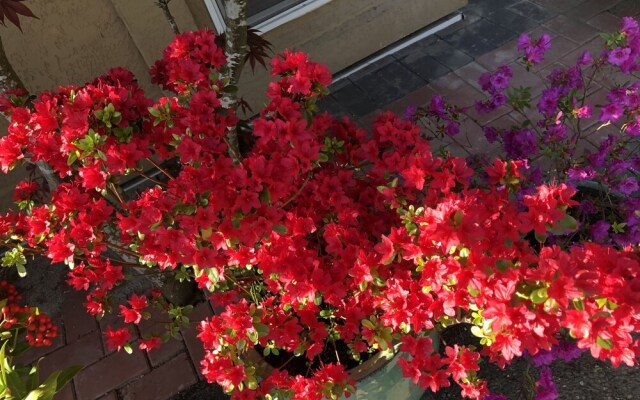 Charming Family Hotel