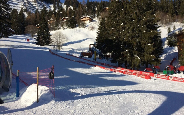Chalet Wildhorn